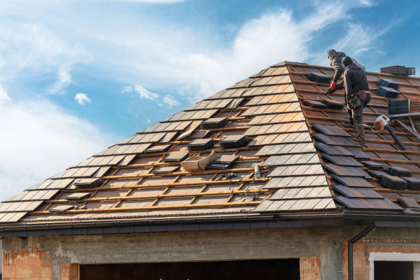 Best Asphalt Shingle Roofing  in Parowan, UT